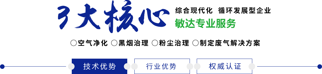 搞逼爽死了敏达环保科技（嘉兴）有限公司